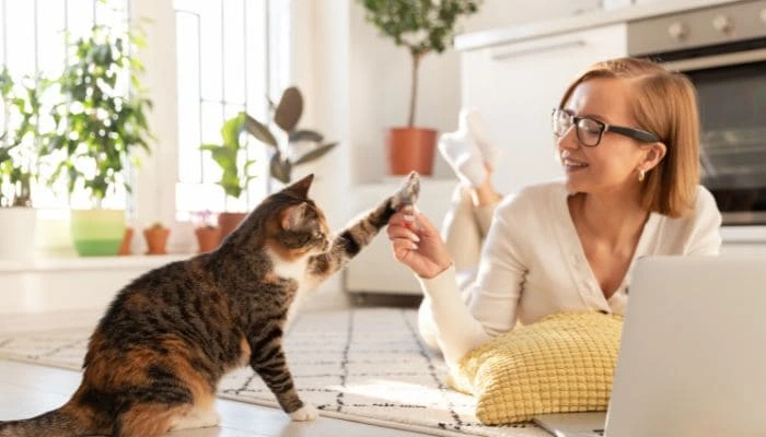 The Latest Trends in Pet Grooming and Care
